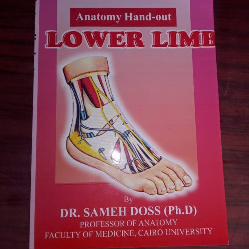 Hand-Out Lower Limb (by SAMEH DOSS)